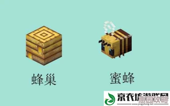 我的世界蜂巢作用详解：如何利用蜂巢获取资源