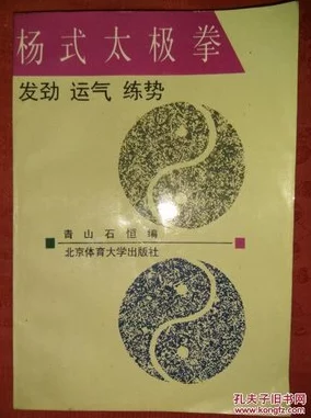 2025热门探索：绝区零黑雁工地杨纪念币最新寻找攻略与位置揭秘